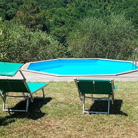 Villa Con Piscina 10 Posti Letto, L'Oliveta Di Rivalto Киани Екстериор снимка