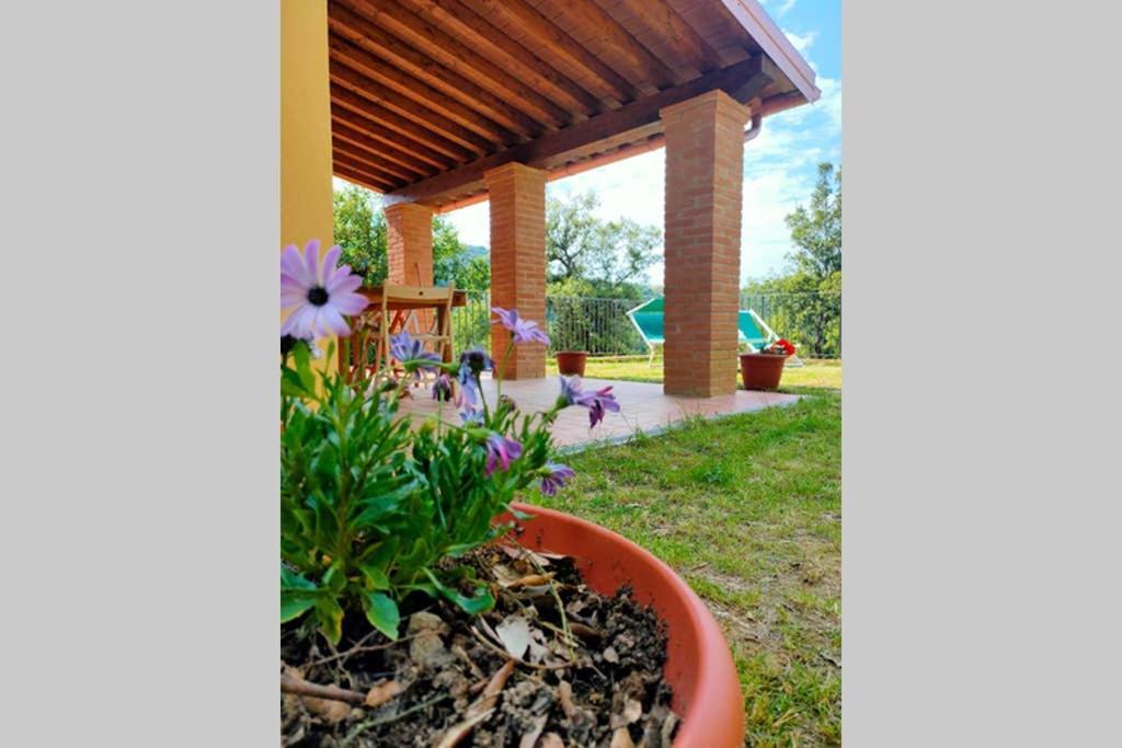 Villa Con Piscina 10 Posti Letto, L'Oliveta Di Rivalto Киани Екстериор снимка