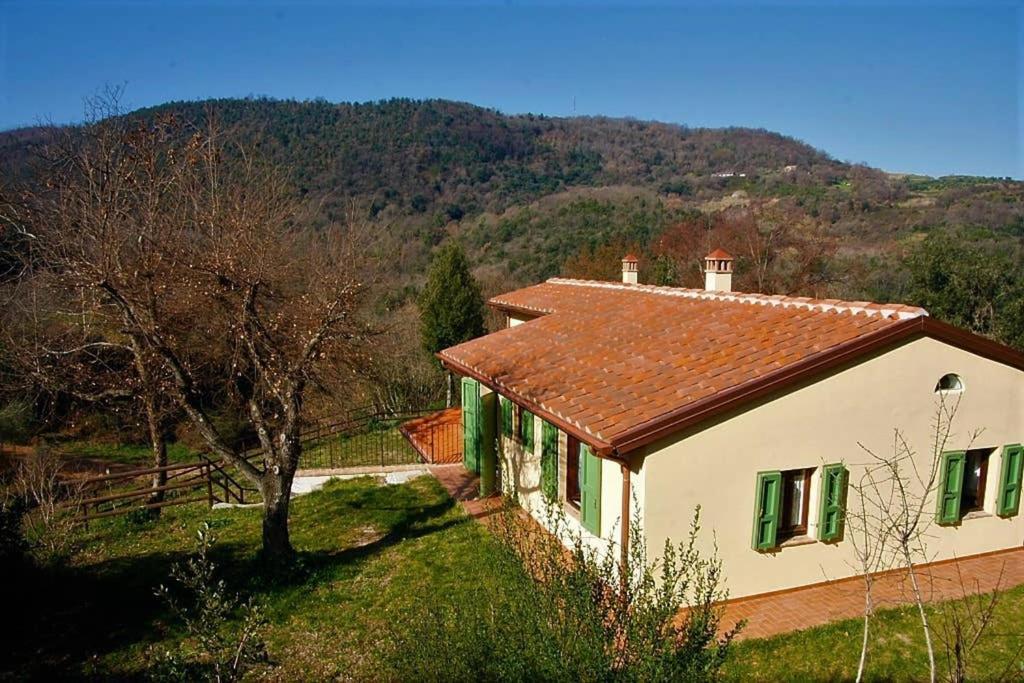Villa Con Piscina 10 Posti Letto, L'Oliveta Di Rivalto Киани Екстериор снимка